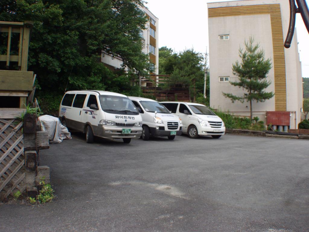 White Cabin Pyeongchang Bagian luar foto