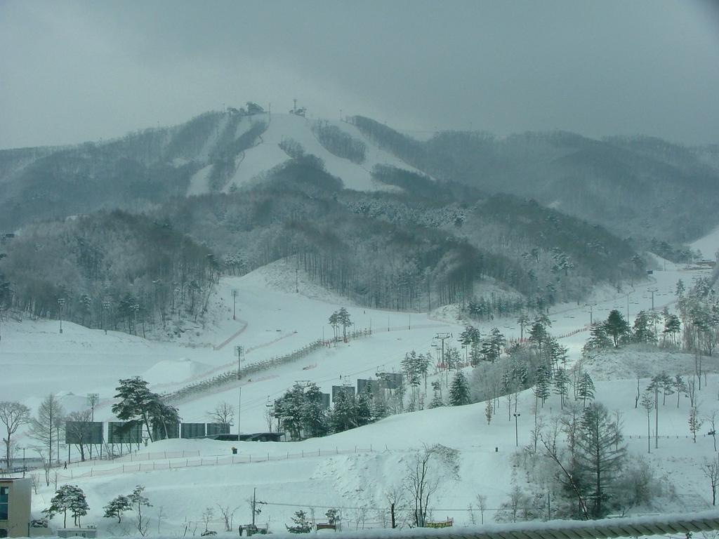 White Cabin Pyeongchang Bagian luar foto